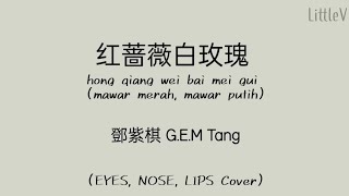 红蔷薇白玫瑰 /hong qiang wei bai mei gui (EYES, NOSE, LIPS Cover) @鄧紫棋 G.E.M Tang (Lirik terjemahan ID)