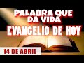 EVANGELIO DE HOY l DOMINGO 14 DE ABRIL | CON ORACIÓN Y REFLEXIÓN | PALABRA QUE DA VIDA 📖