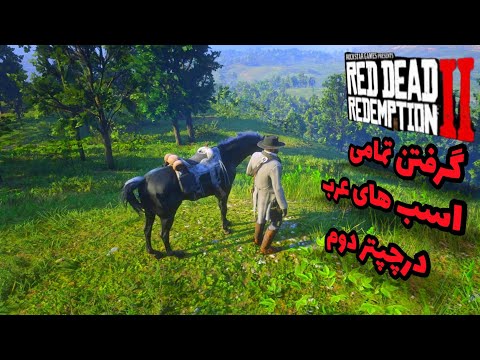 تصویری: آیا اسب عربی بهترین rdr2 است؟