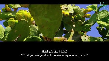 سورة نوح   ياسر الدوسري   مترجم Surah Nuh   Quran   English subtitles
