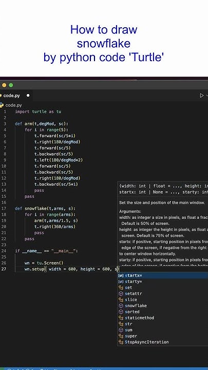 How create a snowflake by python code Turtle - YouTube