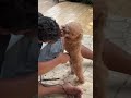 potong dulu bulu titinya biar tambah ganteng moi😂
