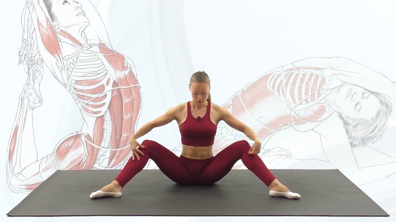 Растяжка Мышц для Пластичности и Здоровья