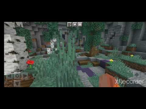 ვᲗამაᲨობᲗ  მაინქრავტს  ვარ  სერვერზე 1#