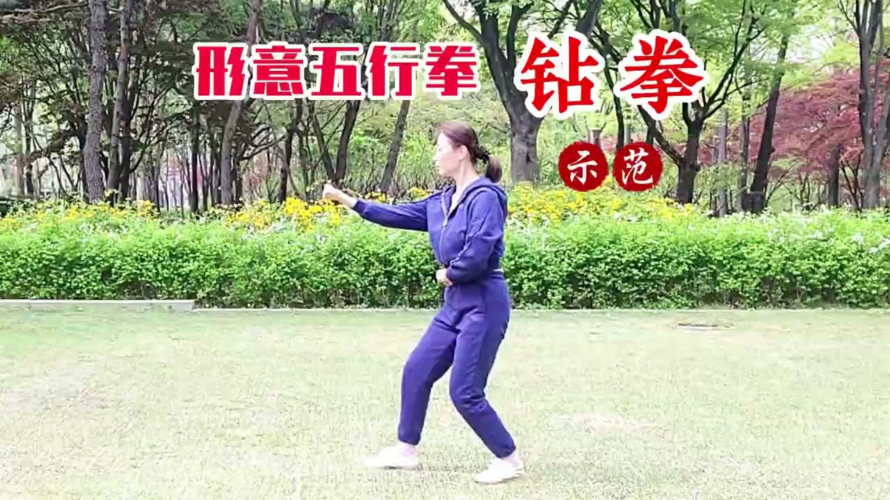 형의권오행 찬권 形意五形拳钻拳 xingyi wuxing zuanquan