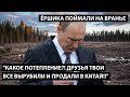 "Какое потепление?! Друзья твои все вырубили и вывезли в Китай!!" ЁРШИКА ПОЙМАЛИ НА ВРАНЬЕ