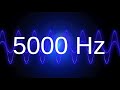 5000 Hz clean pure sine wave TEST TONE 5 khz frequency