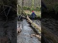 crossed a slippery tree over a river in Scotland... wait till the end.... haha 😄