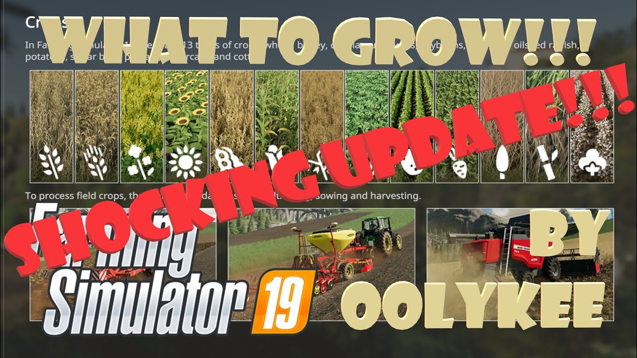 SHOCKING CROP PRICES!!! FS19 Crop profitability!!! YouTube