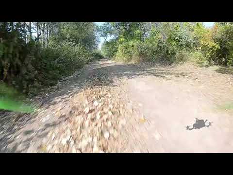 CHALA FPV - დრონით ფრისტაილი ჭალაში + დალეწვები ;)