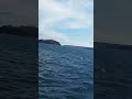 уходим в Японское море