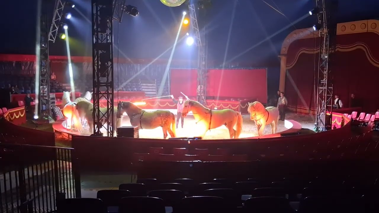 Heel mooi☺️☺️