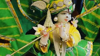 #shorts #vrindavan #bankebihari Banke Bihari whatsapp status || Shyam Sunder || Radhe Radhe