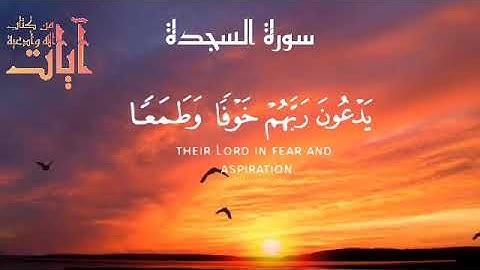 آيات من سورة السجدة صوة رائع