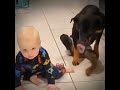 Ребенок и пёс
