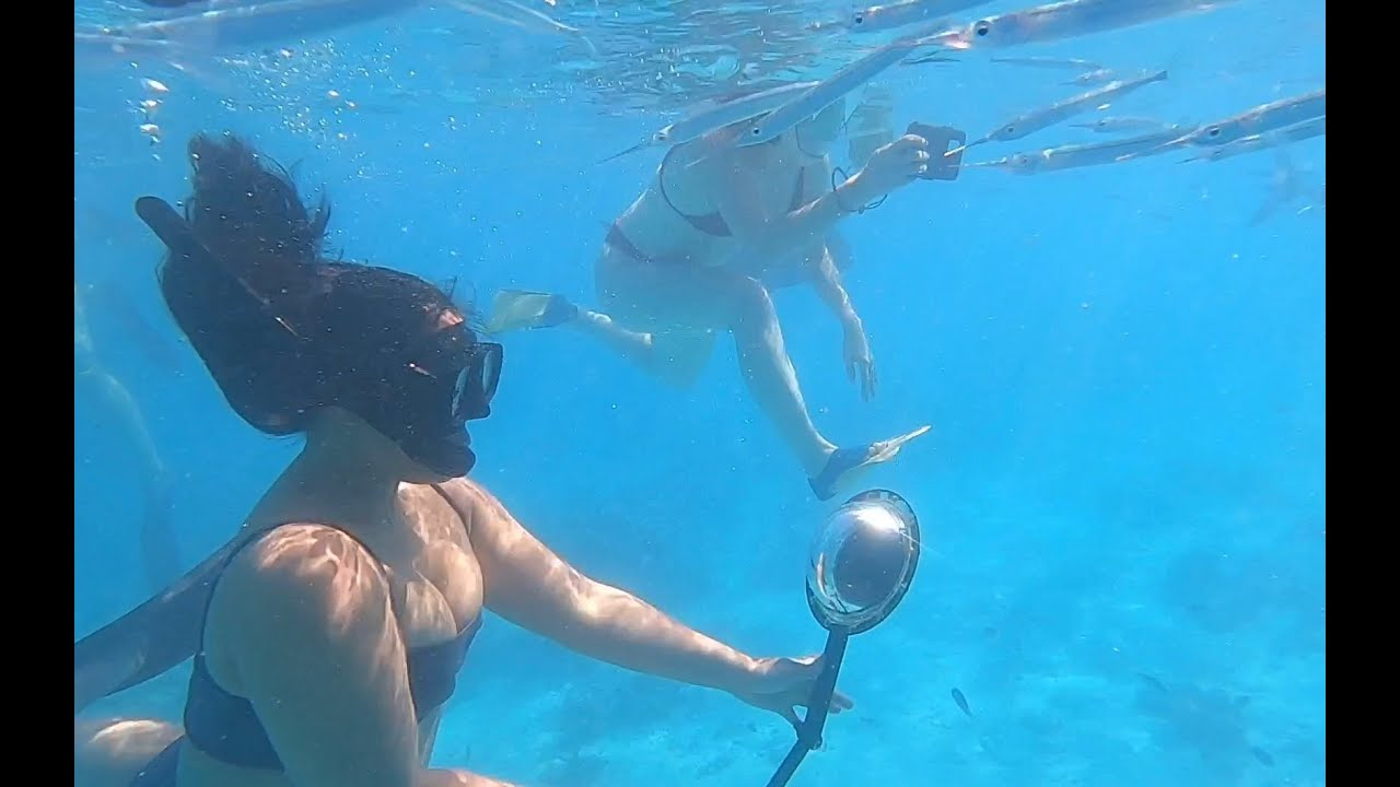Aitutaki snorkelling