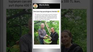 🫒Baharın Müjdecisi Can Eriği Hasadı Başladı