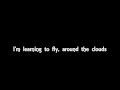 Tom Petty & the Heartbreakers-Learning to Fly Lyrics