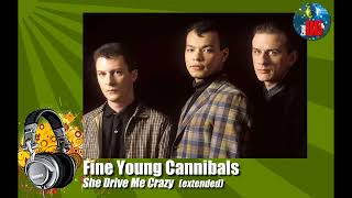 Fine Young Cannibals - She Drive Me Crazy (extended)