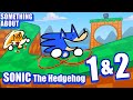 Something about sonic 1  2 animated loud sound warning  flashing light warning 