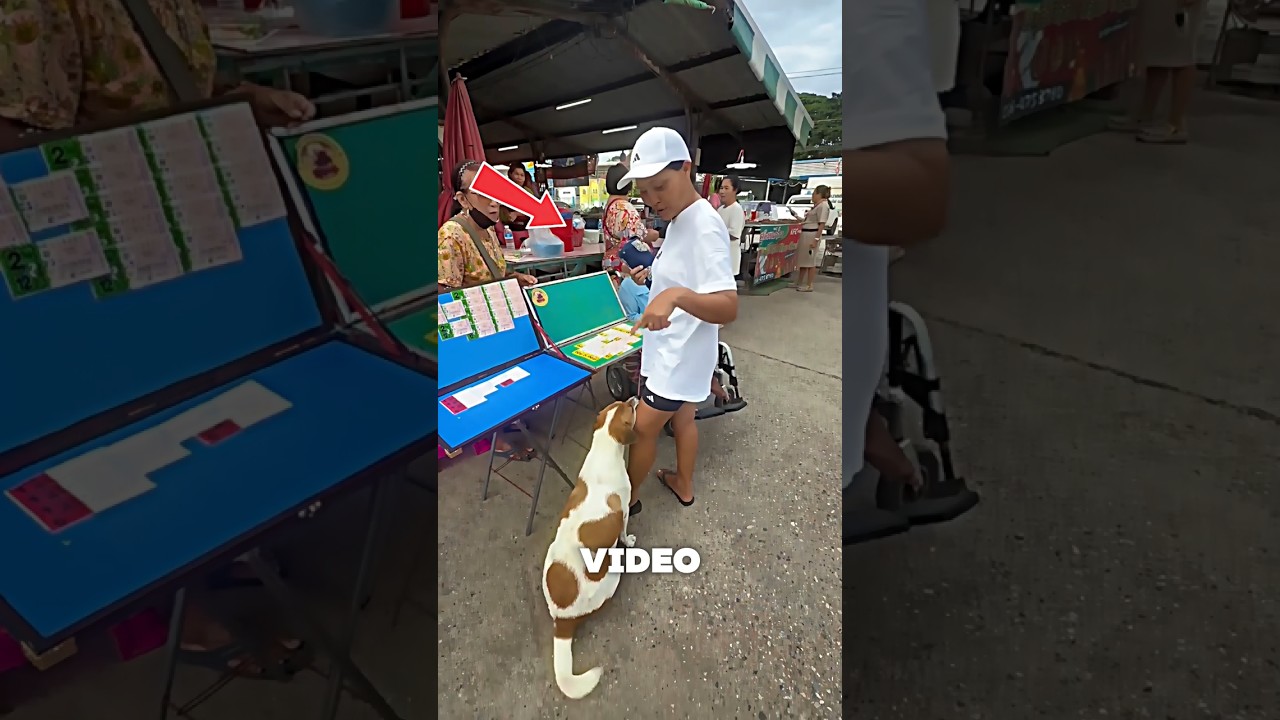 The dog hugged the woman's leg 😱🐕#dog