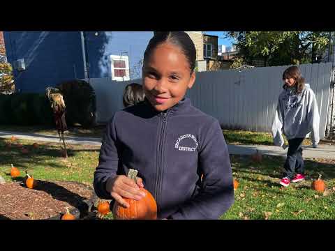 The Great Pumpkin Patch: Huber Street School PTA