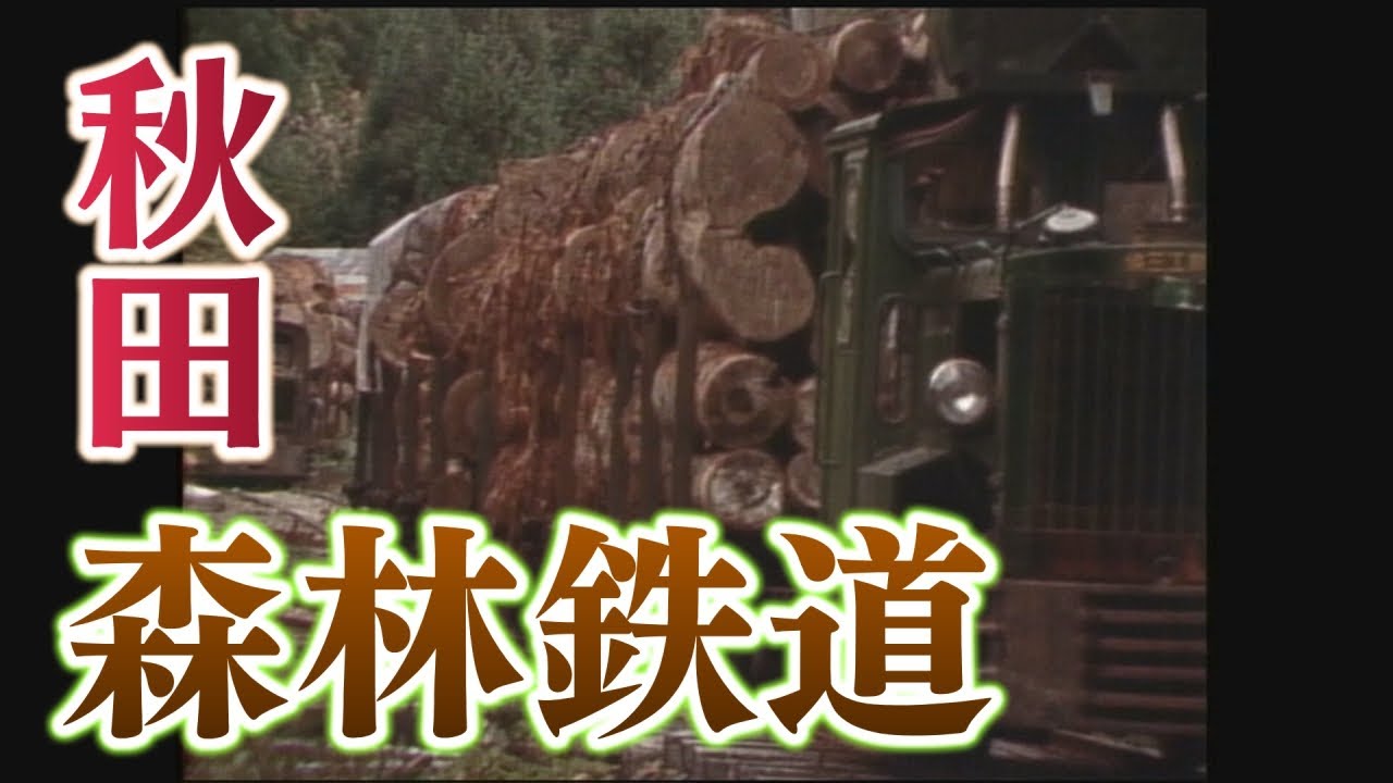 遺構・森林鉄道を往く
