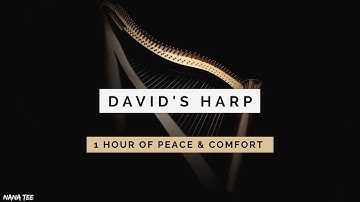 PEACE & COMFORT | David