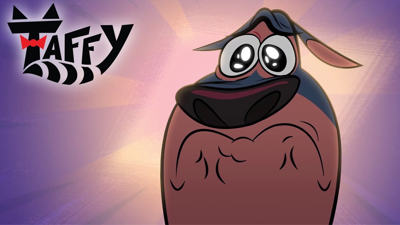 La drôle de tanière de Taffy dans l’ours 🐻😲 | Taffy