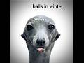 Balls In Winter Memes Funk Funny Viralvideo Football Hearttrend Fyp Edit Subscribe