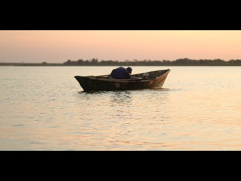 Pilar no muere | Trailer