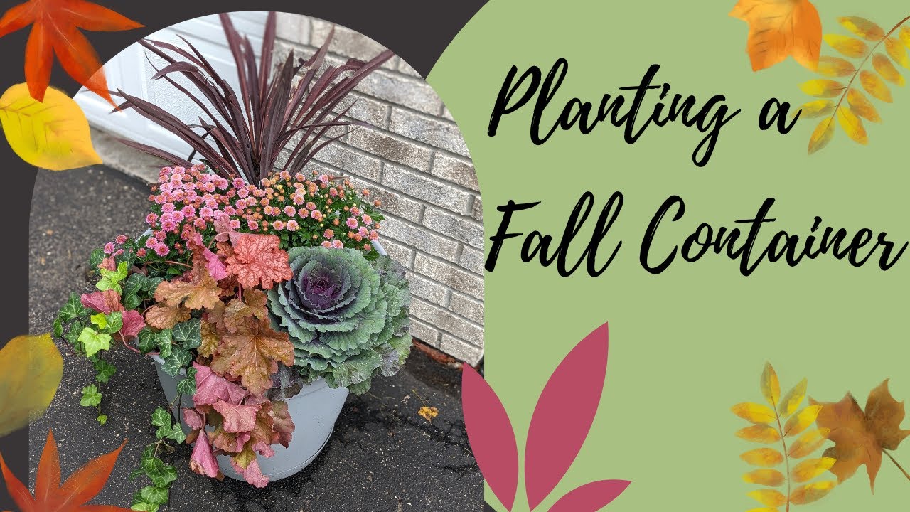 Planting a Fall Container | Heuchera, Ornamental Cabbage, Mums, Cordyline | Serenity Now Garden