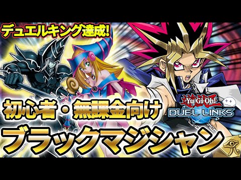 即日発送&フォロワー様5%オフ❗️ シク多数 大会構築 ブラマジデッキ ブラックマジシャンの2024年5月時点での最強構築はコレ