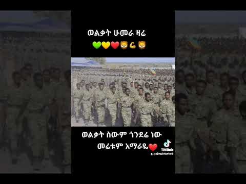 ወልቃይት ፋኖ አማራ Ethiopian Amhara Shorts Fano