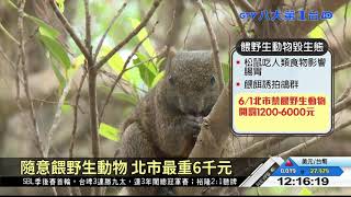 北市公園禁餵野生動物 6/1起開罰 八大民生新聞 2021050604