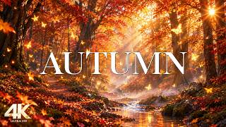 Details September Autumn 4K 🍂 Early Fall Landscapes 🍂 Amber Meadows, Woodland Paths & Soft Piano Melodies Update