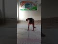 #yoga💪🙏🥰#talent #shortvideo #shorts #viral #short