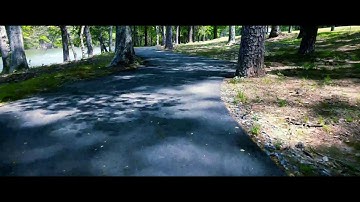 Zhiyun Smooth Q with Google Pixel and FilmicPro