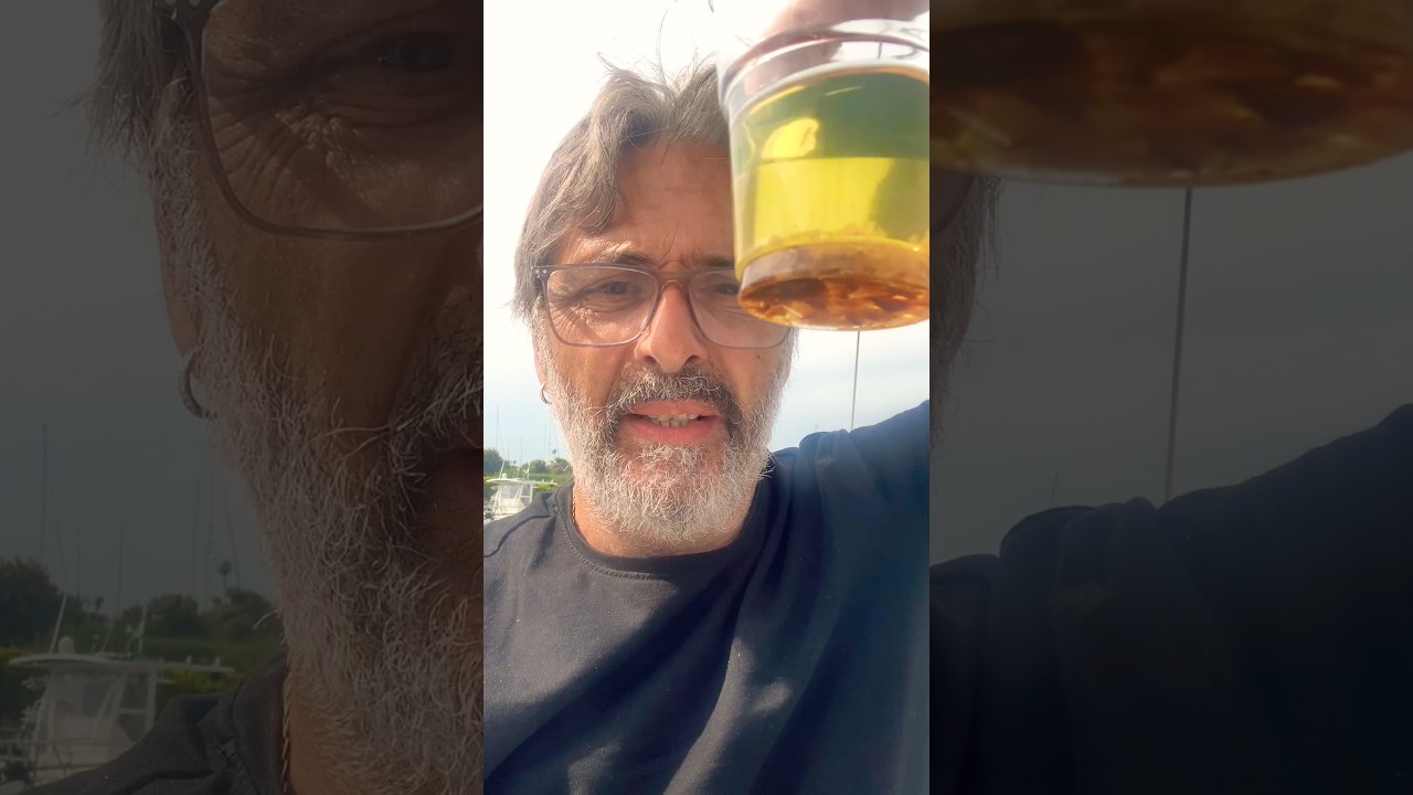 ⁣Ecco cosa crea il bio diesel al motore della vostra #barcheavela