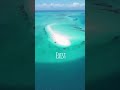 Visit In Zanzibar 2025 Message Tours Operators On WhatsApp Https Wa Me 255654691979 Visit In Zanzibar 2025 Message Tours Operators On WhatsApp Https Wa Me 255654691979