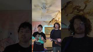 Miniature Tigers  Egyptian Robe Cover