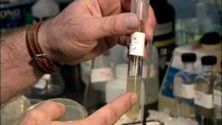 Investigating Evolution: Anti-Biotic Resistant Bacteria