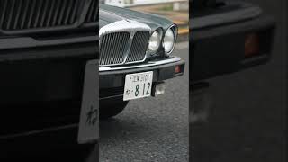 foufou マール コウサカさんのデイムラー・ダブルシックス/Daimler Double Six #shorts