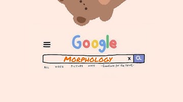 MORPHOLOGY  ( DERIVATIONAL MORPHEMES AND INFLECTIONAL MORPHEMES)