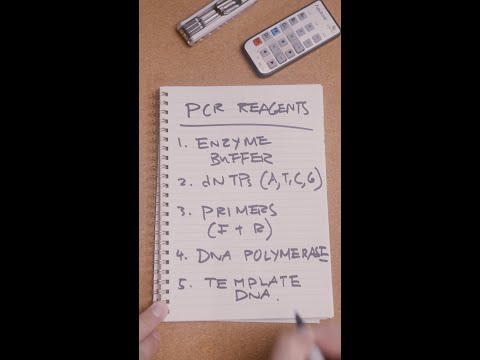 5 Key ingredients