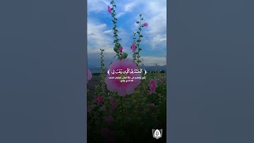 تلاوة بصوت زين العابدين الحديدي من سورة إبراهيم #قران #قرآن_كريم #آيات #استغفرالله #الحمدلله #quran