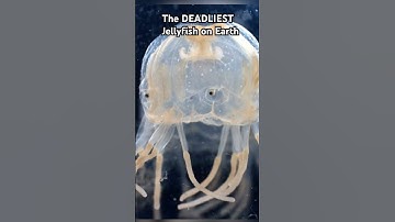 The Hidden Powers of Earth