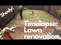 Timelapse lawn renovation in a shady spot