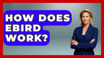 How Does eBird Work? - Bird Watching Diaries