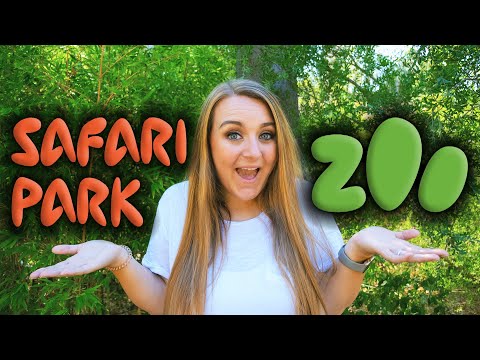 Vídeo: Diferença Entre Safari E Zoo